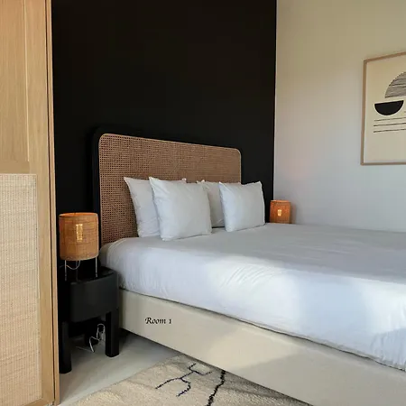 3 Luxury Design With Airconditioning, Close To St-pieters Station Gante