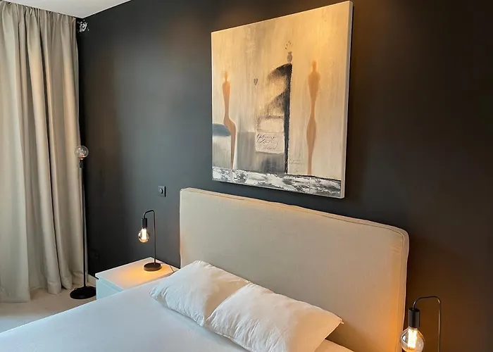 3 Luxury Design With Airconditioning, Close To St-pieters Station Gent